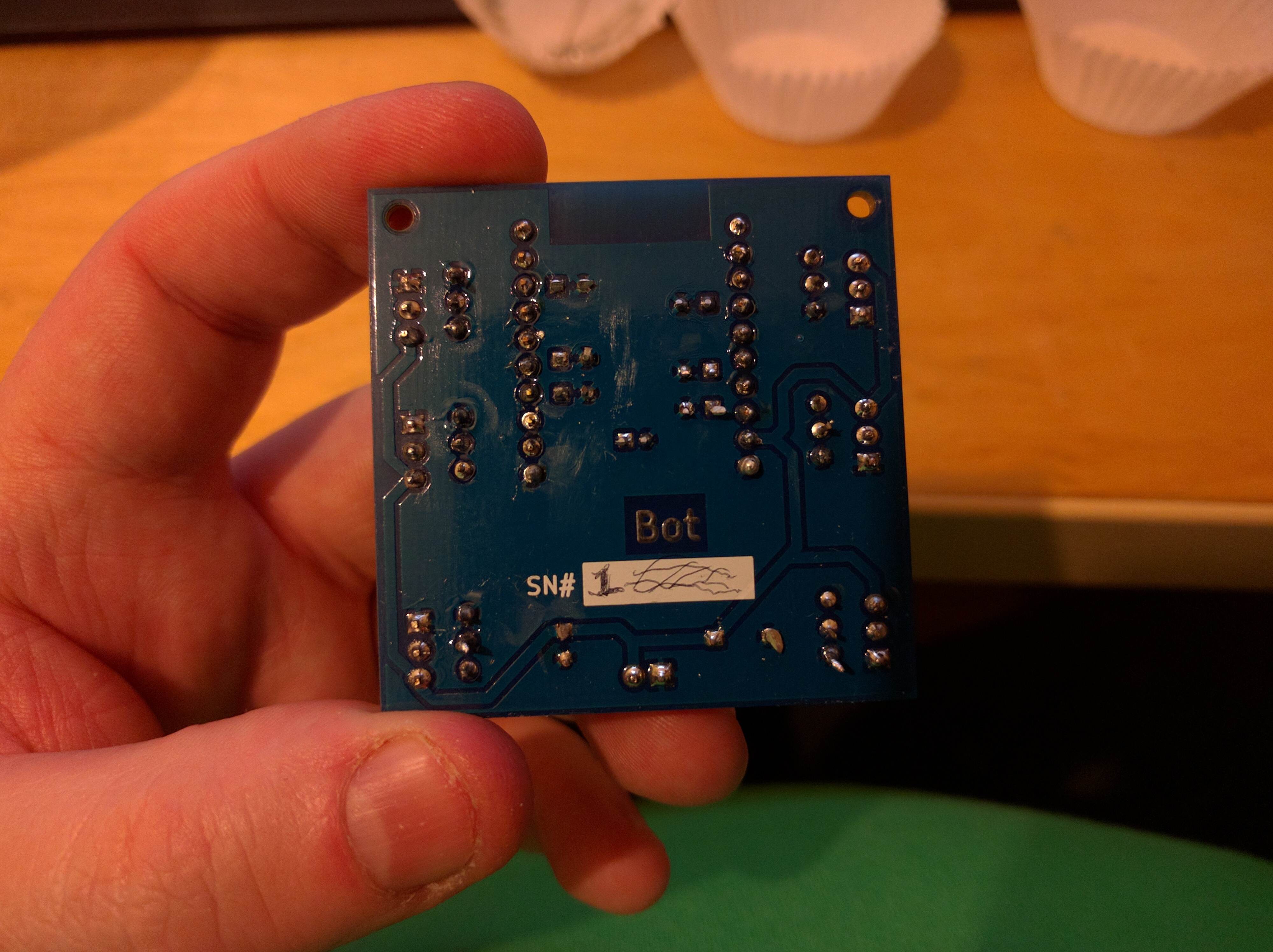 The back of the finished module